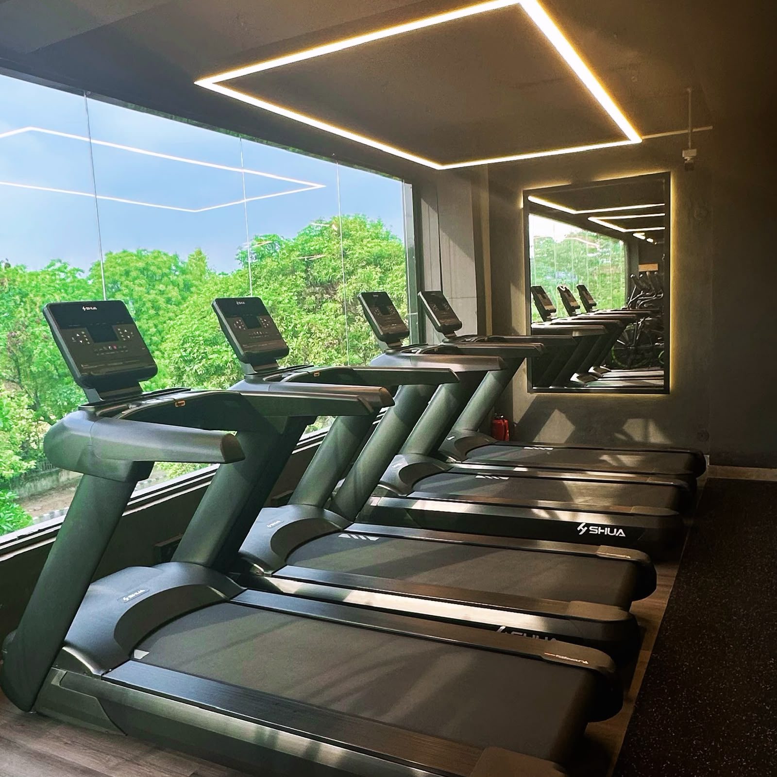 Thrive Gym cardio theatre with city views