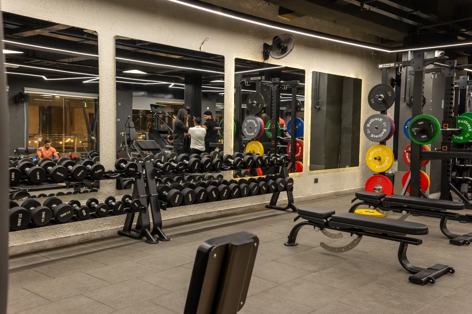 Thrive Gym free weights and dumbbells
